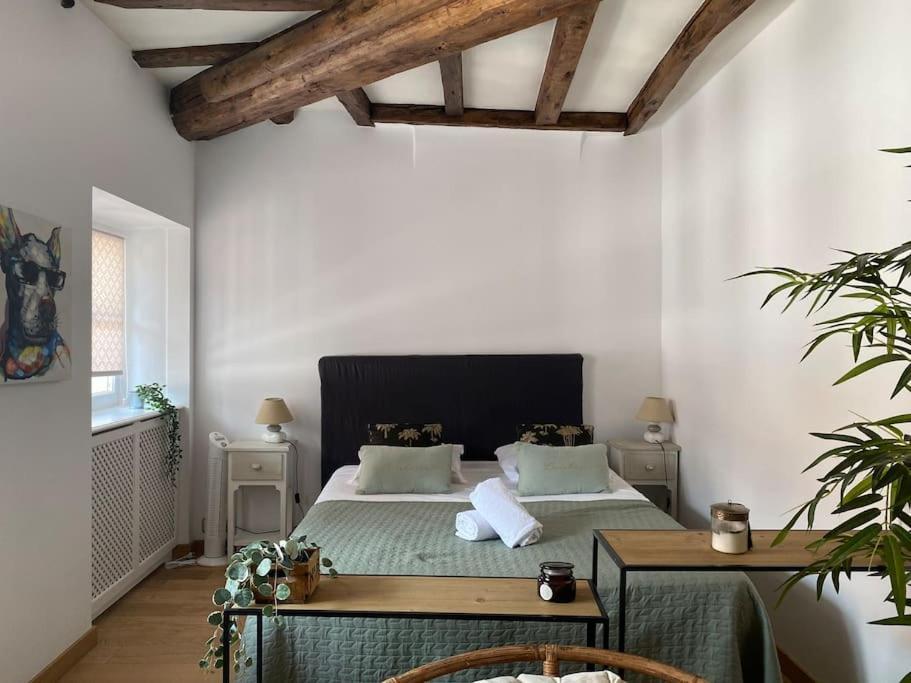 Appartement Le Roseau - En Plein Coeur Historique à Annecy Extérieur photo