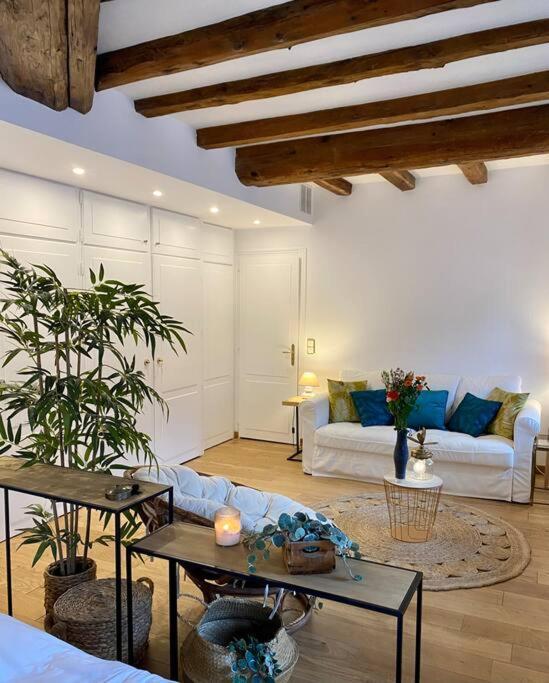 Appartement Le Roseau - En Plein Coeur Historique à Annecy Extérieur photo
