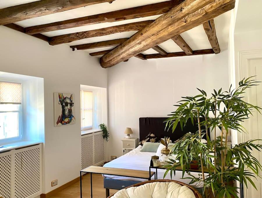 Appartement Le Roseau - En Plein Coeur Historique à Annecy Extérieur photo