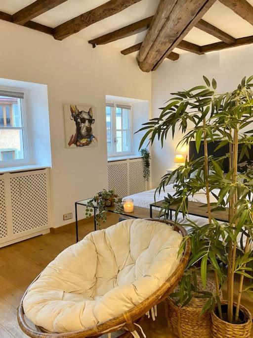 Appartement Le Roseau - En Plein Coeur Historique à Annecy Extérieur photo